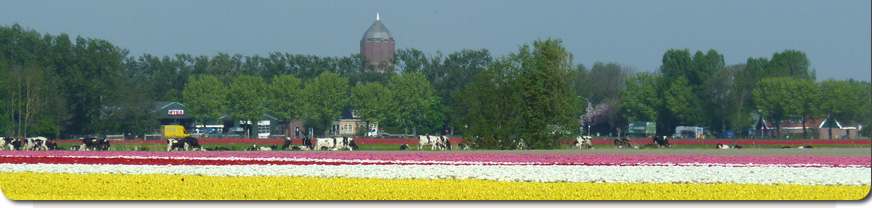 Rentmeester Van der Horst