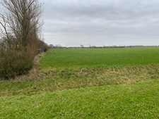 Rinkeweelsdijk